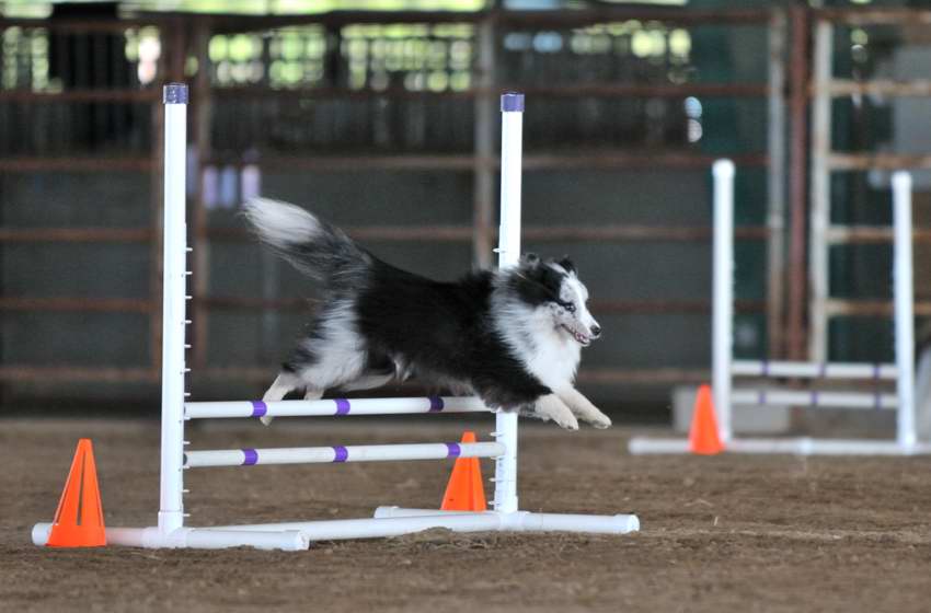 Airborne