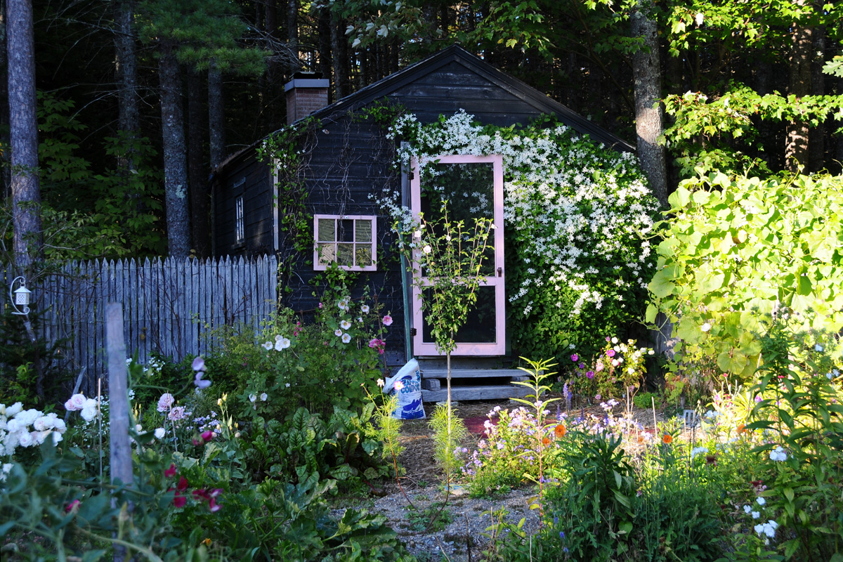 DSC_2787 Connies Garden Shed.jpg