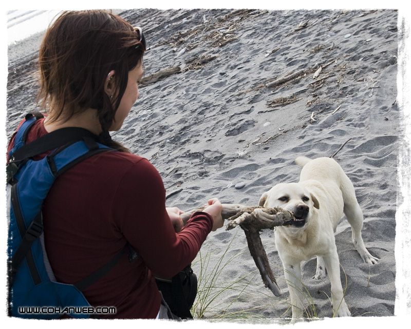 Playing with our new friend on Hokitipa Beach