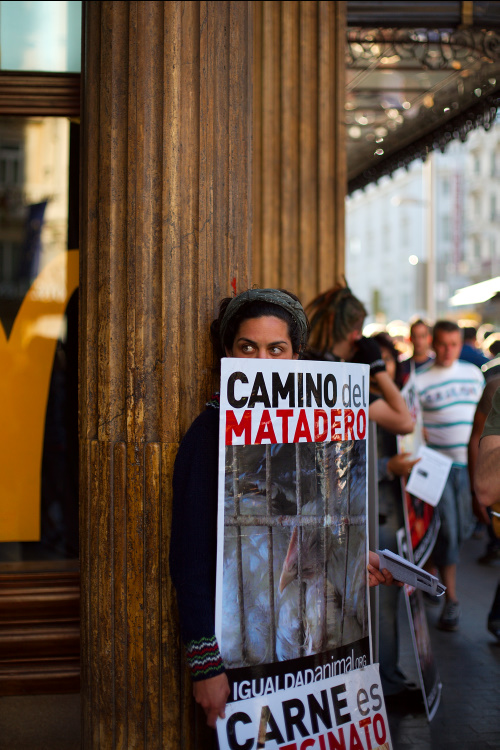 camino del matadero