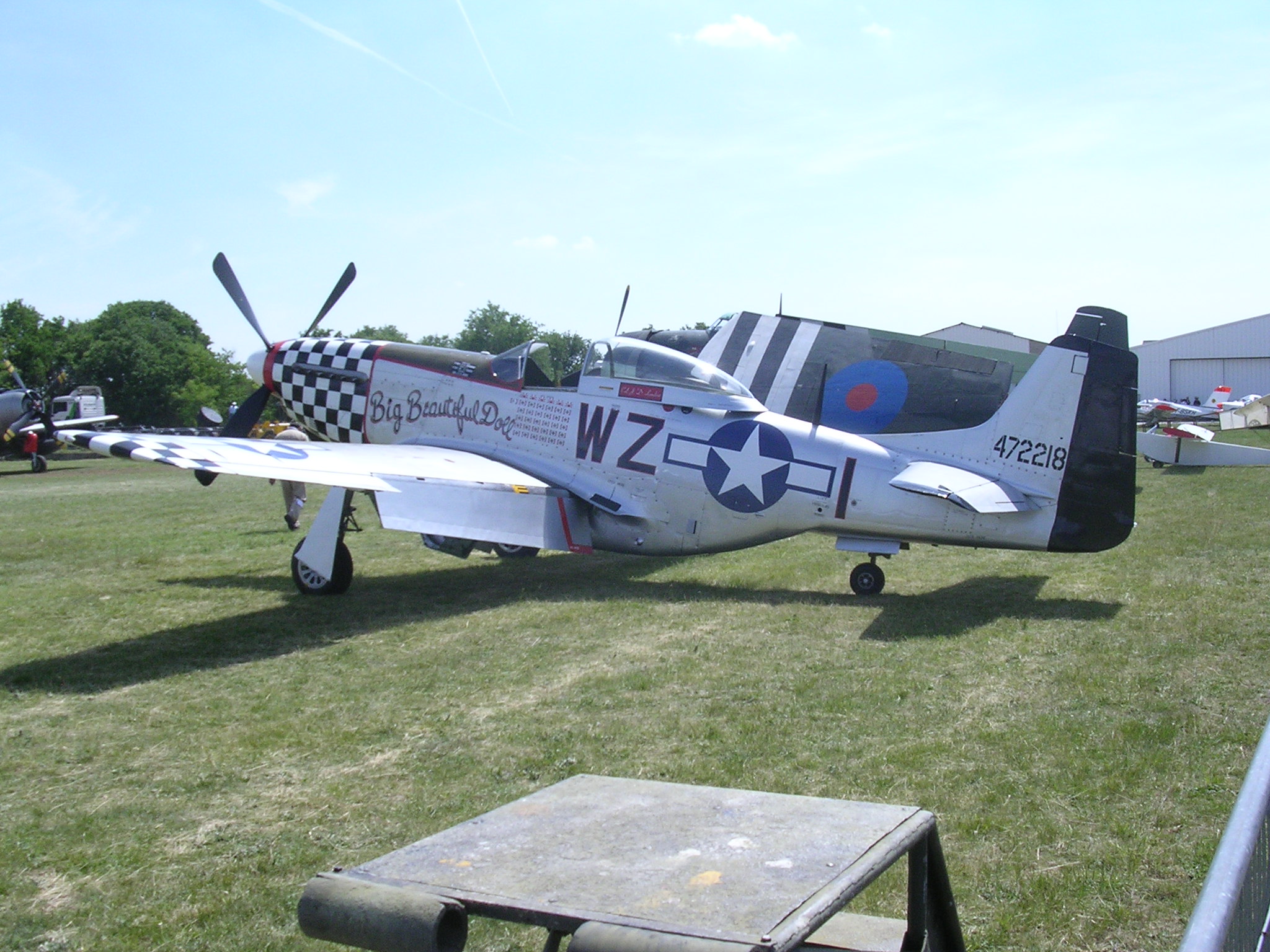 Mustang
