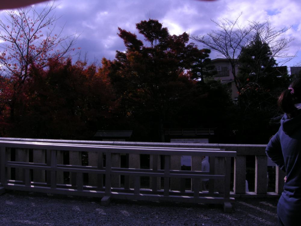 DSCN3572.JPG