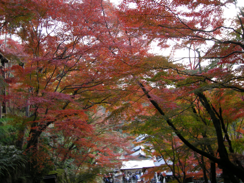 DSCN3613.JPG