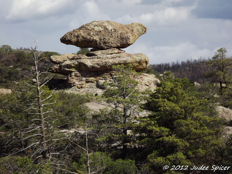 DSCF1294.jpg