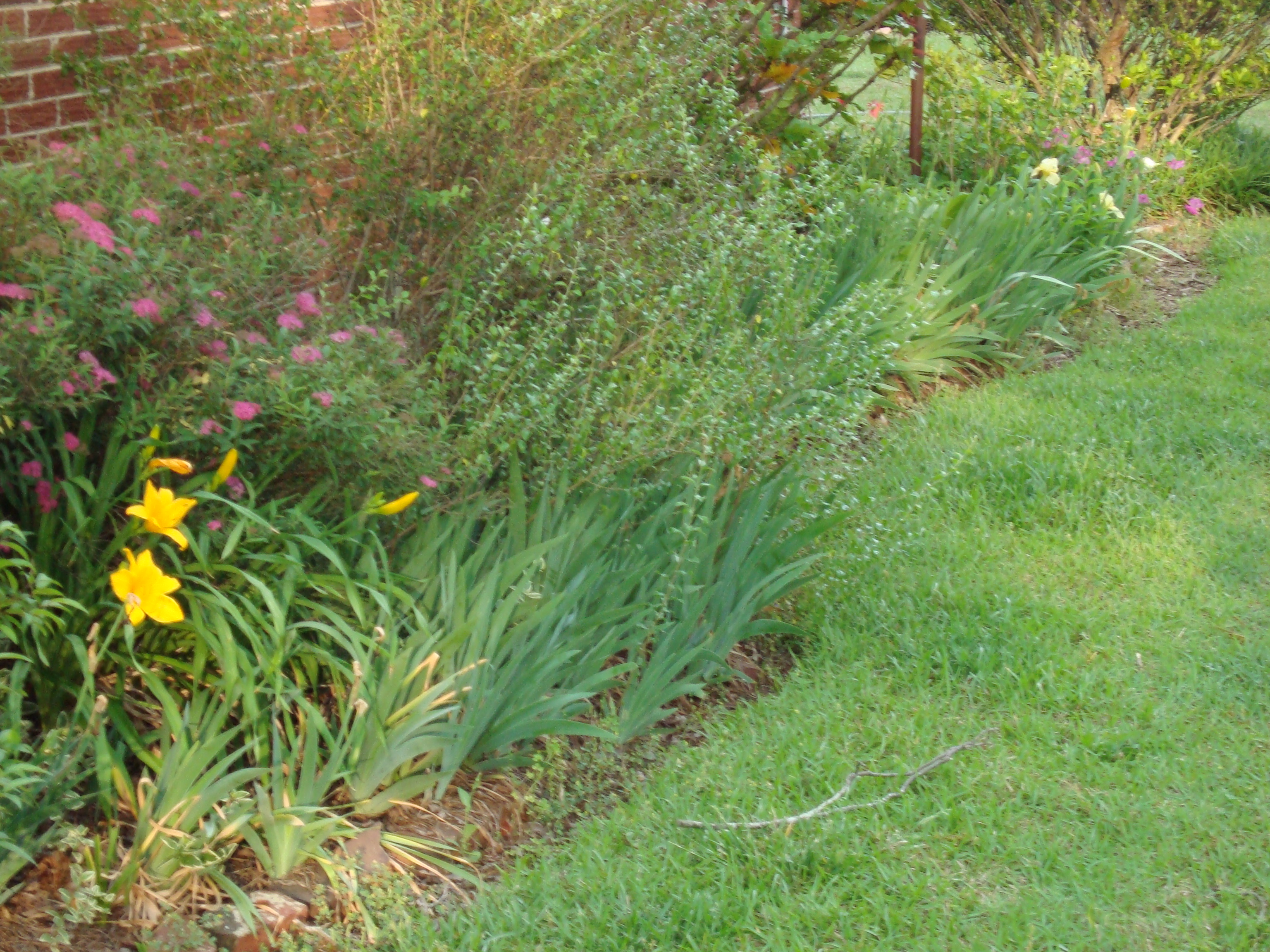 DSC00053.JPG