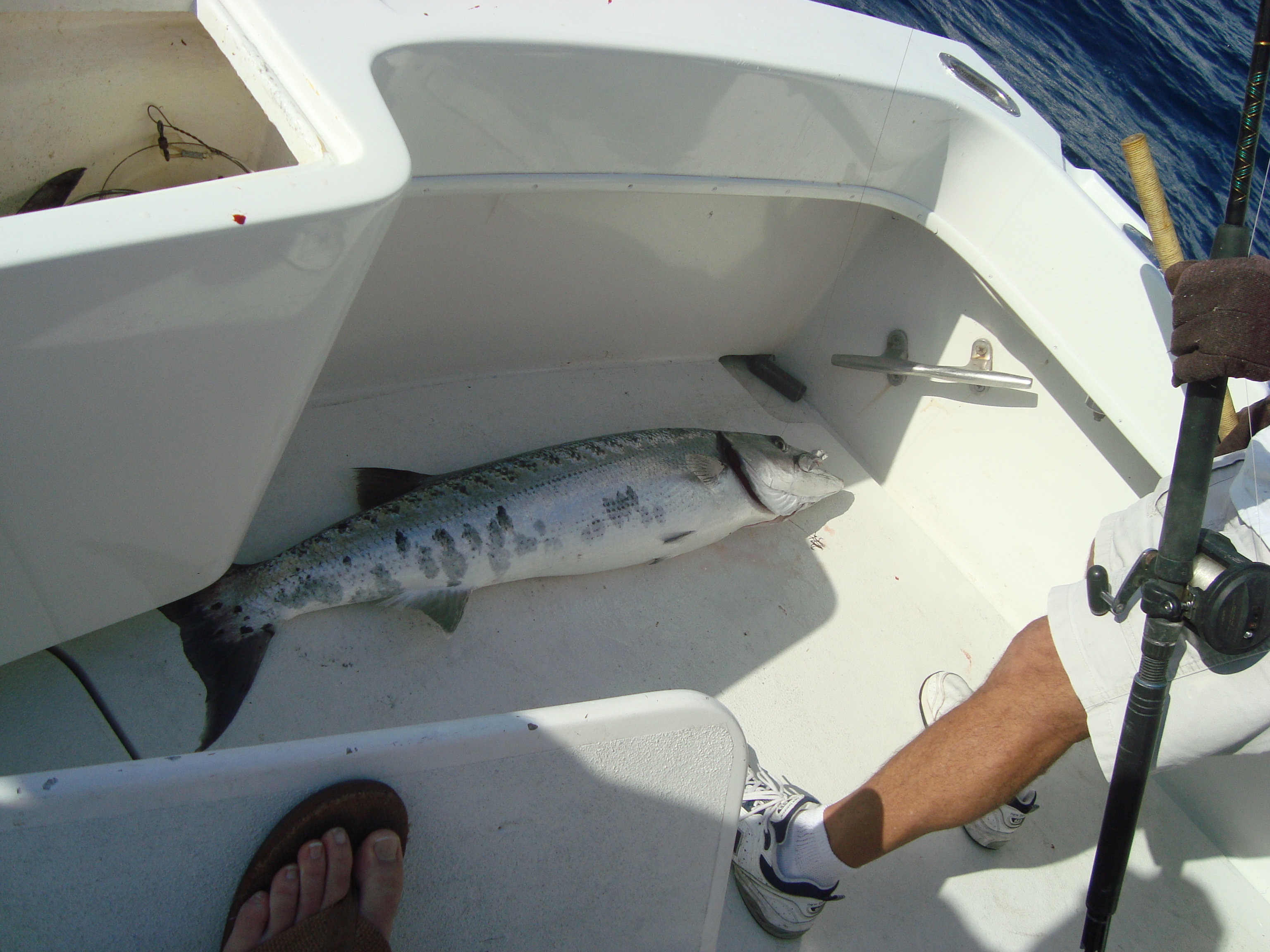 14 finally in the boat.JPG
