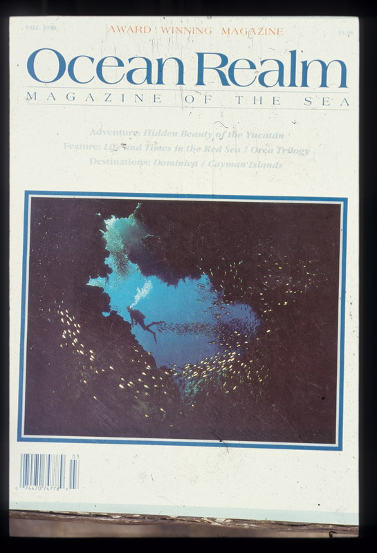 Ocean Realm feature on Red Sea