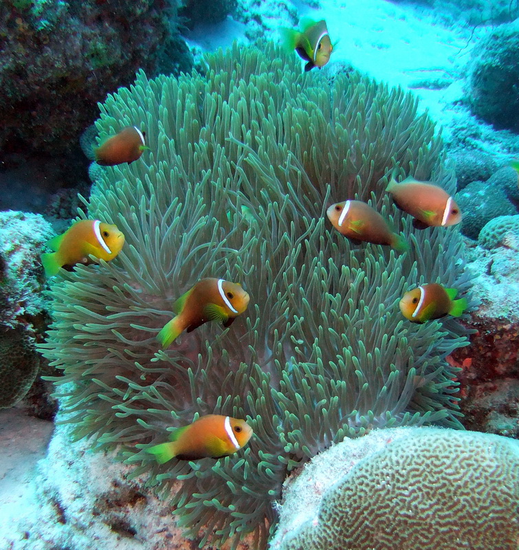 DSCF0076_resize.JPG