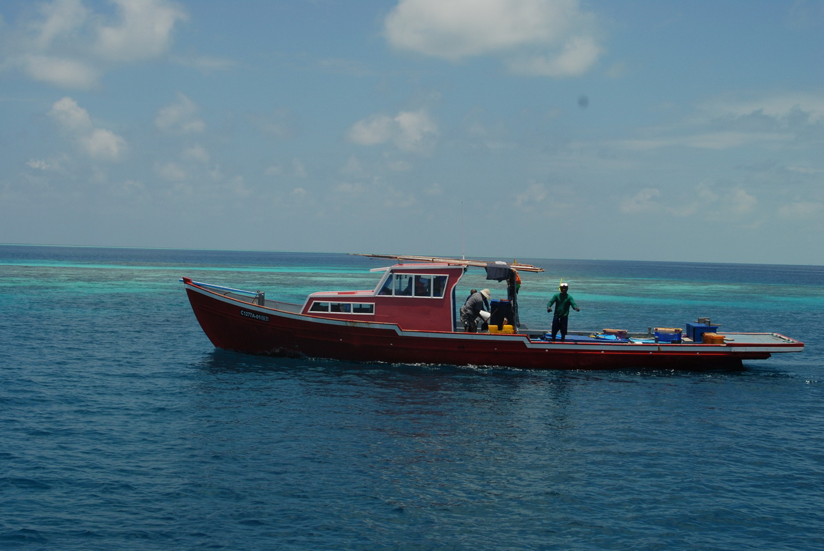 DSC_0081 (2)_resize.JPG