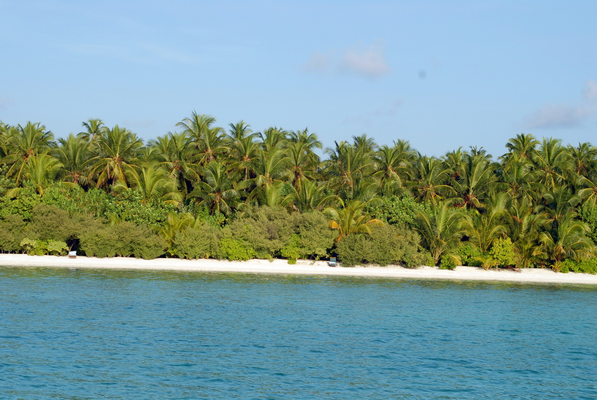 DSC_1X06_resize.JPG