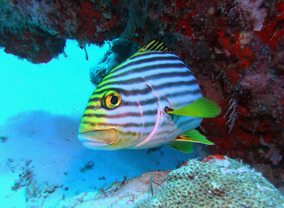DSCF0015_resize.JPG