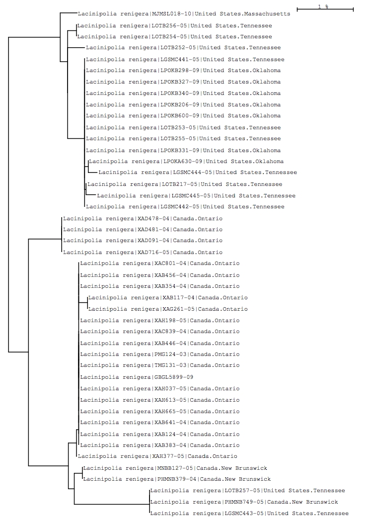 Tree using public and local data