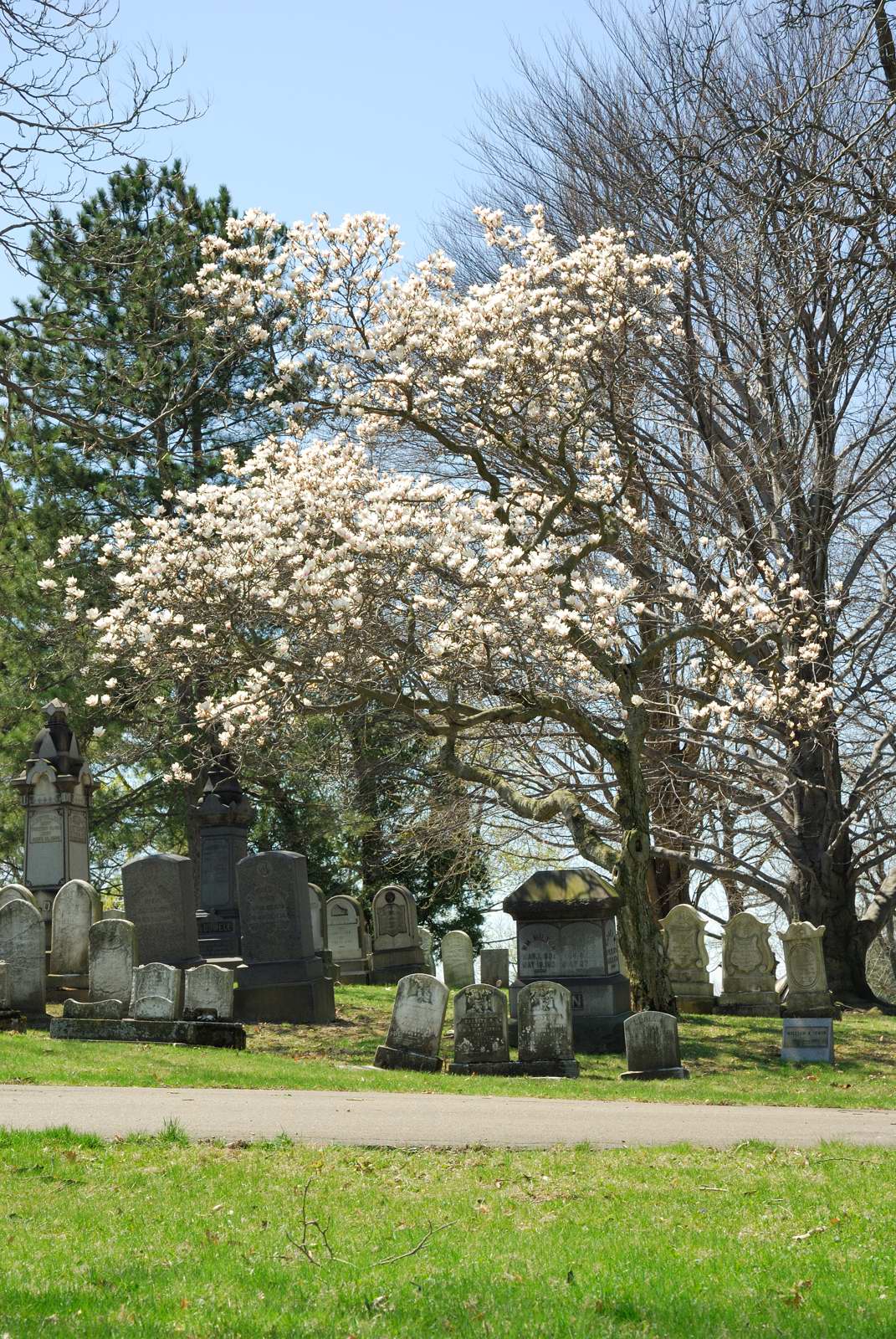 DSC_0503.jpg
