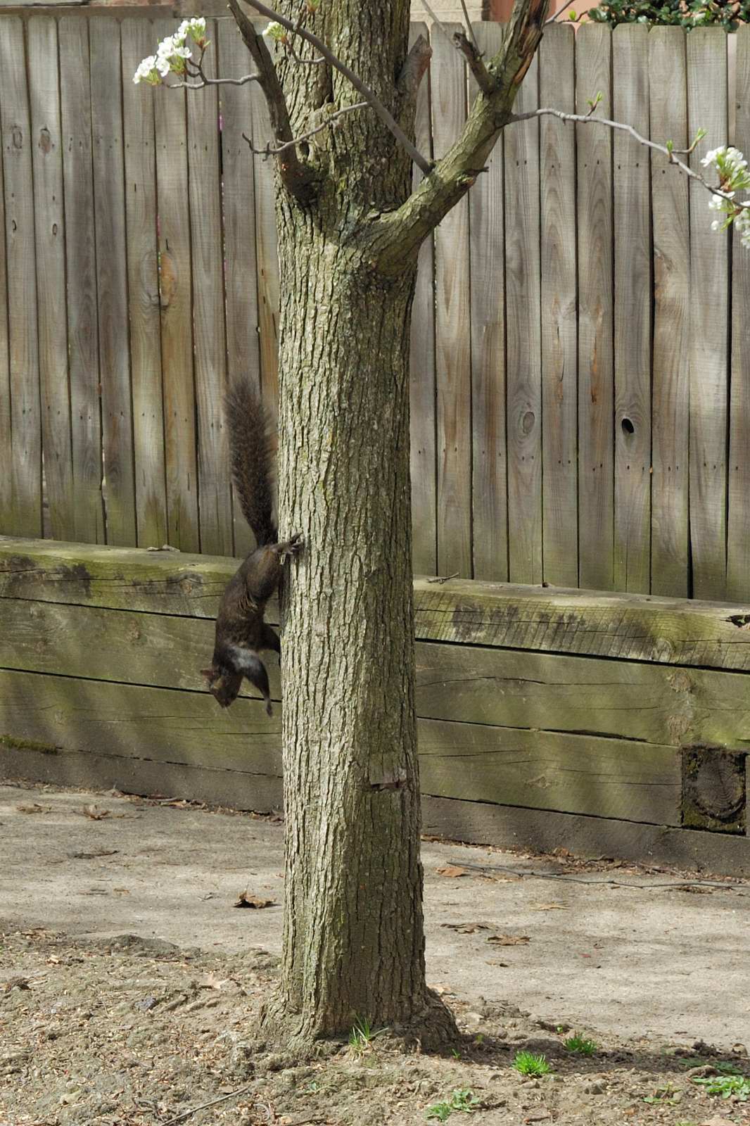 DSC_5113.jpg