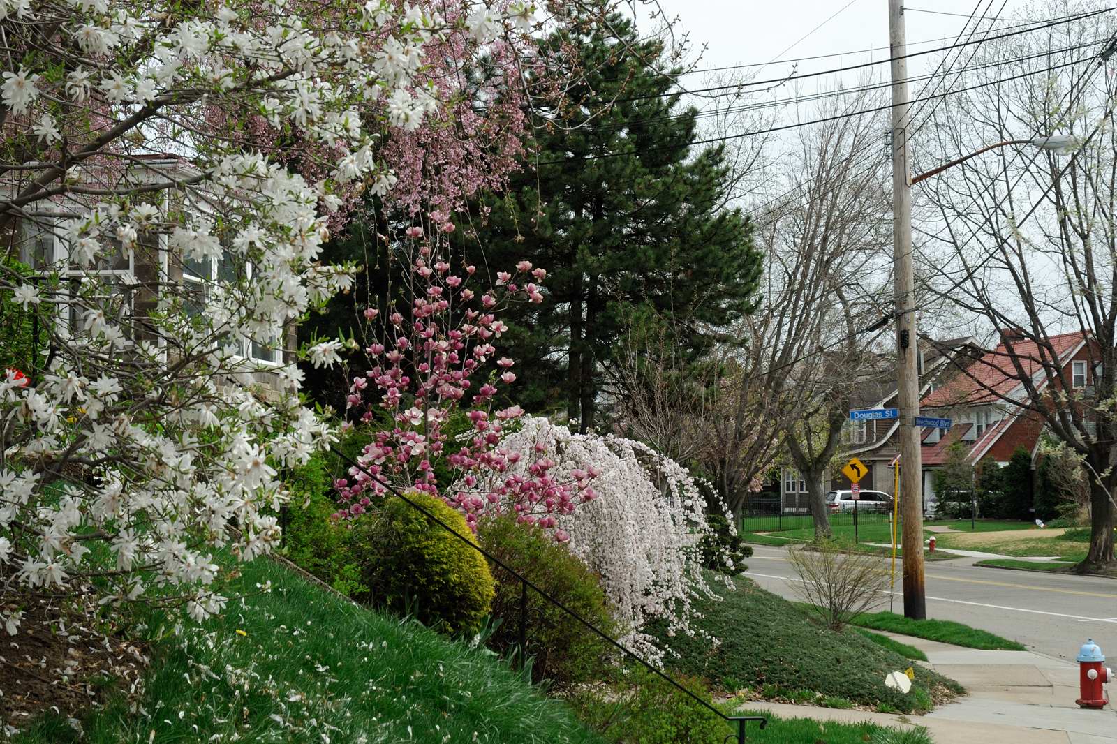 DSC_5155.jpg