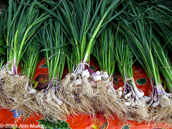 Green onions