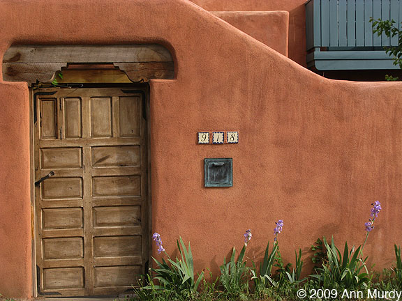 Wooden door &  irises