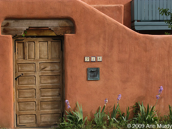 Wooden door &  irises