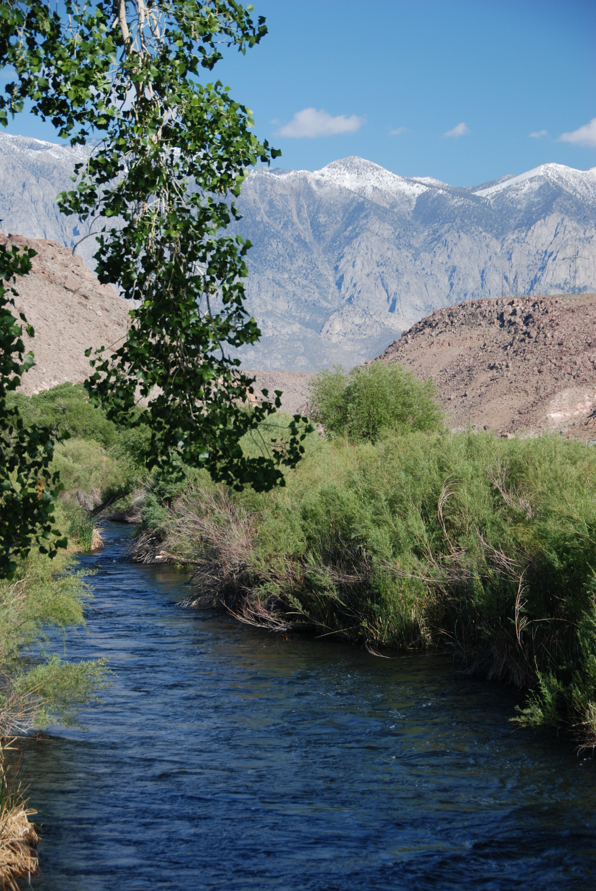 Owens River 1.JPG