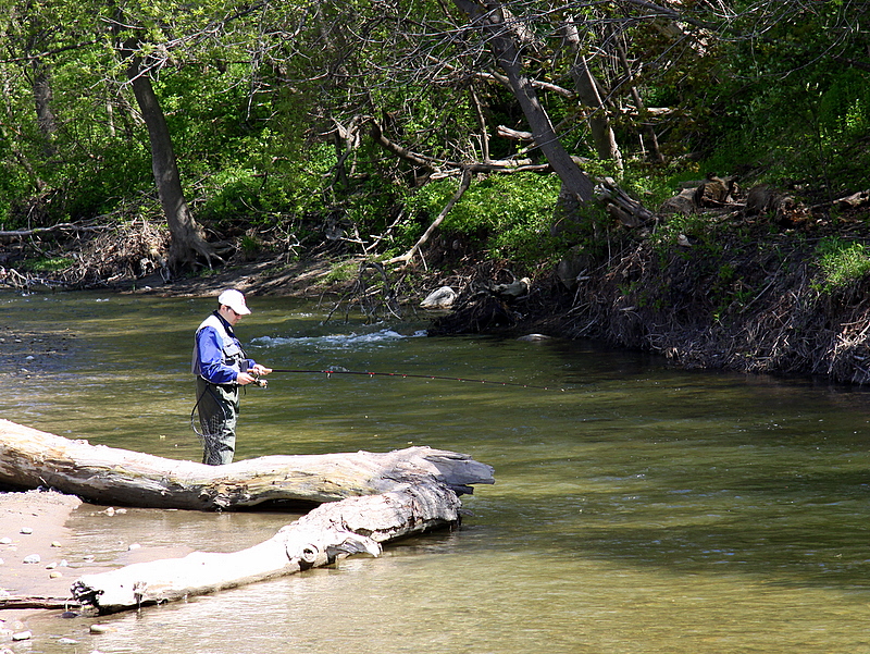 Morning on the Stream