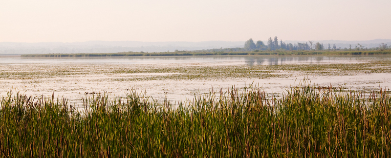 Port Perry Shallows