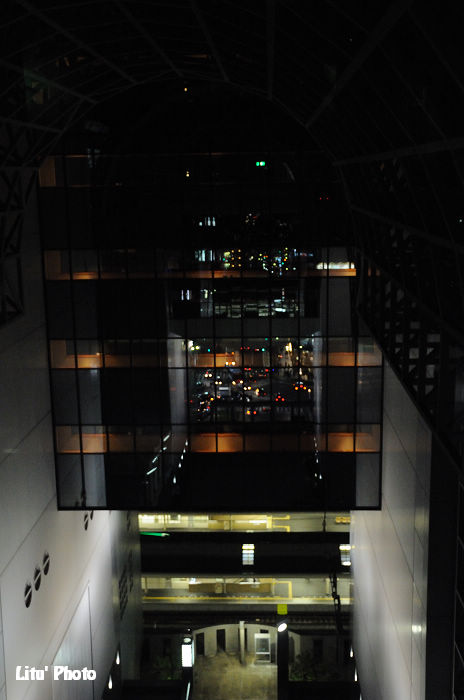 DSC_6569.jpg