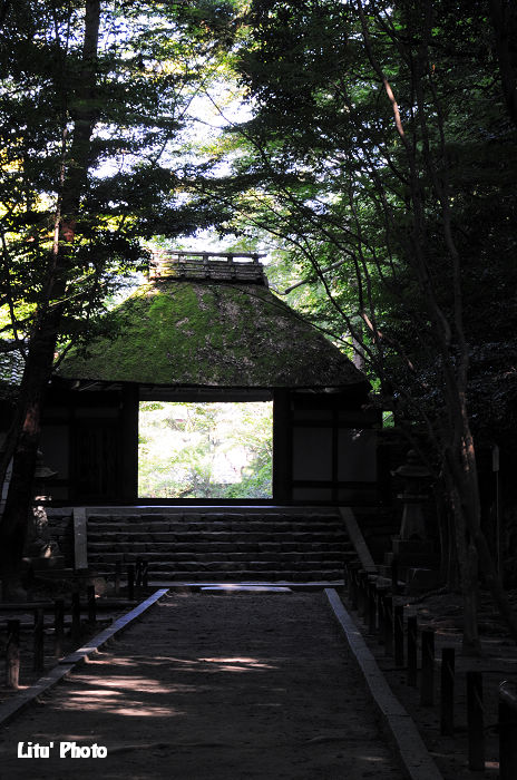 DSC_6706.jpg