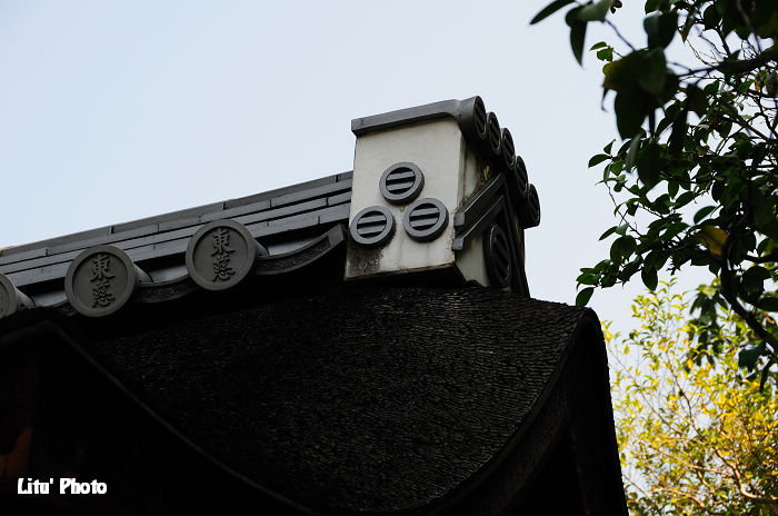 DSC_6770.jpg