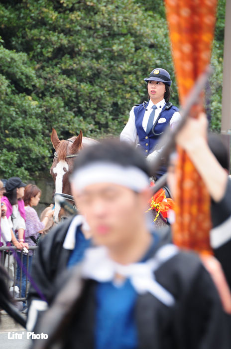 DSC_8336.jpg
