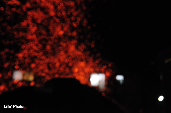 DSC_8841.jpg
