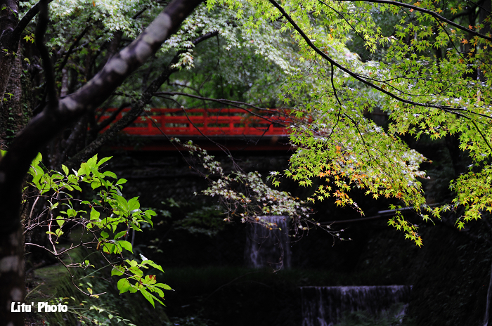 DSC_0157.jpg