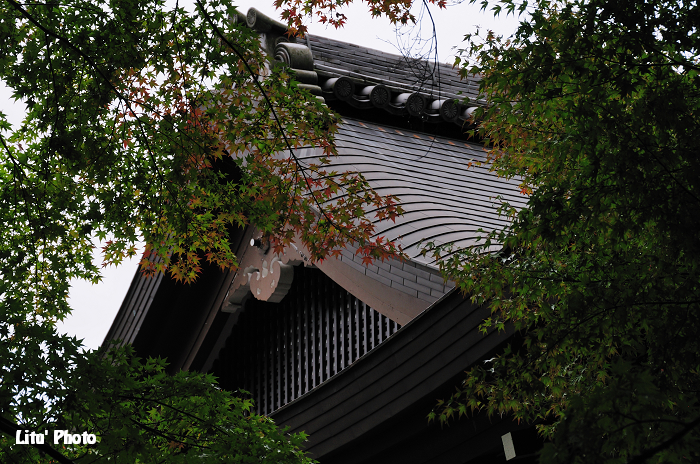 DSC_0185.jpg