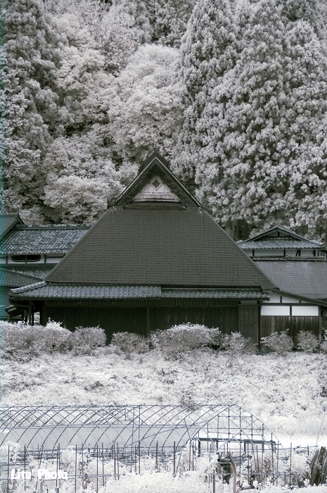 DSC_3421.jpg