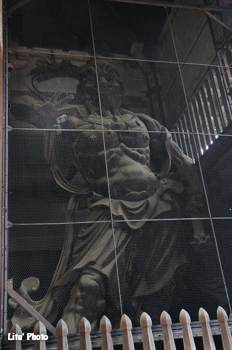 DSC_1175.jpg