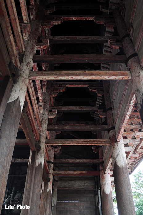 DSC_1177.jpg