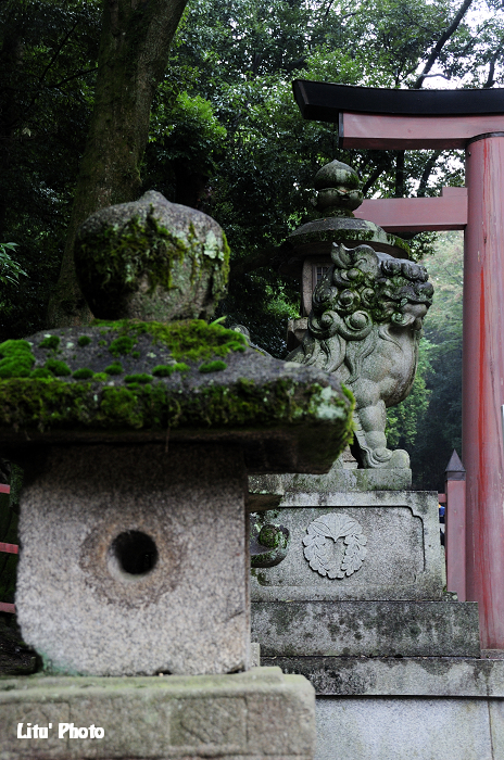DSC_1401.jpg