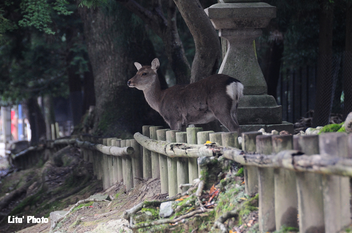 DSC_1607.jpg