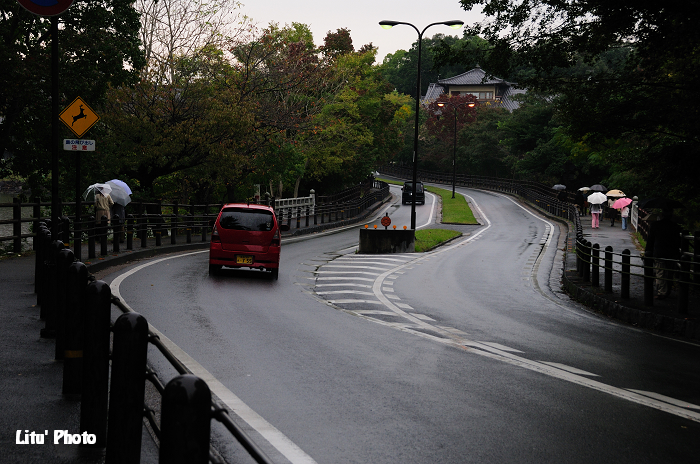 DSC_1697.jpg
