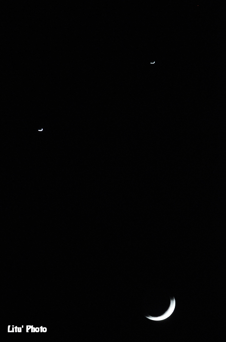DSC_2017.jpg