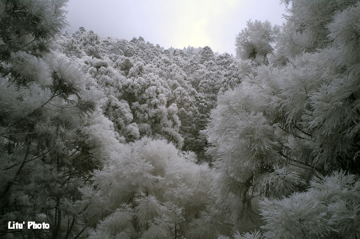 DSC_4265.jpg