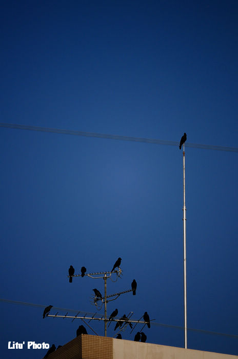 DSC_6581.jpg