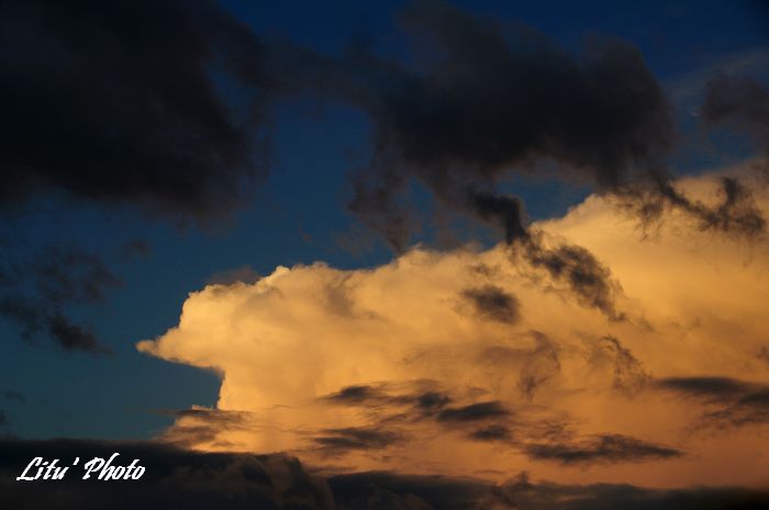 DSC_6139.jpg