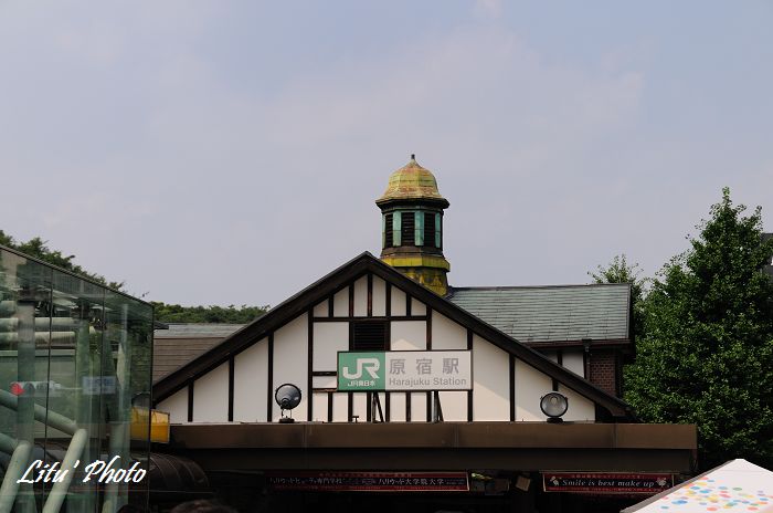 DSC_8036.jpg