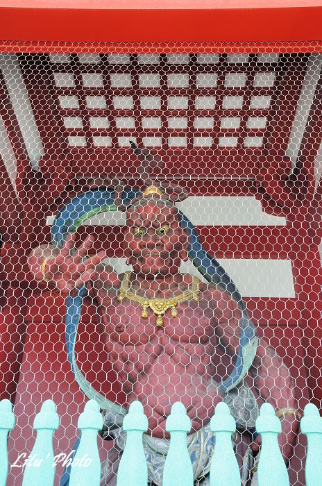 DSC_9543.jpg
