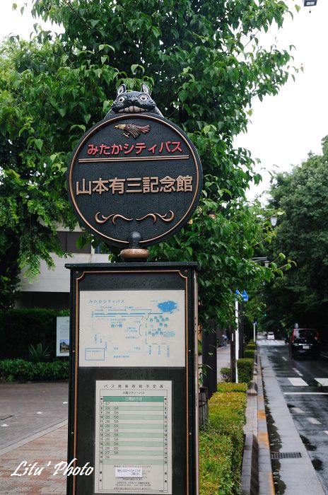 DSC_9994.jpg