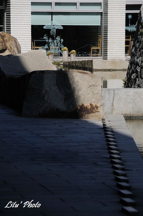 DSC_0646.jpg