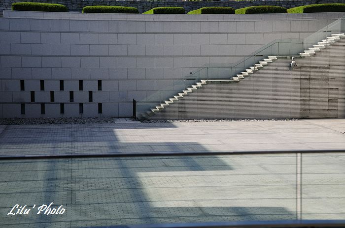 DSC_0679.jpg