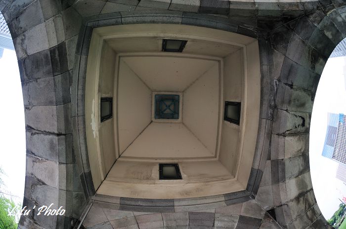 DSC_0880.jpg