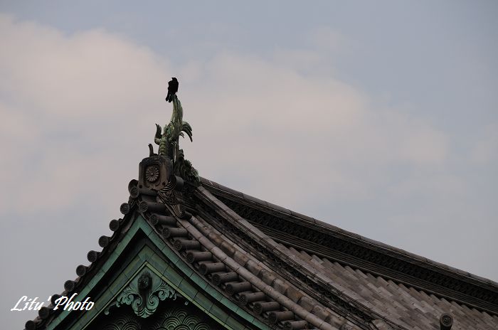 DSC_0951.jpg