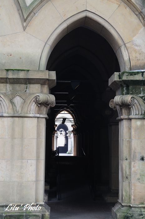 DSC_1324.jpg
